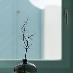 Daire Valsamo *